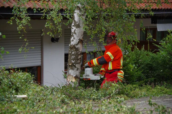 20170819_Baum_droht _auf_Haus_02.jpg