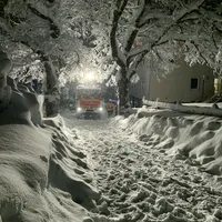 baum_uber_fahrbahn_bergstr2_vzQ9Zw1.jpg