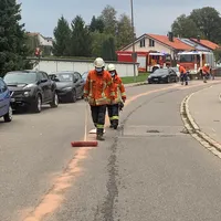 olspur_im_friedhag.jpg