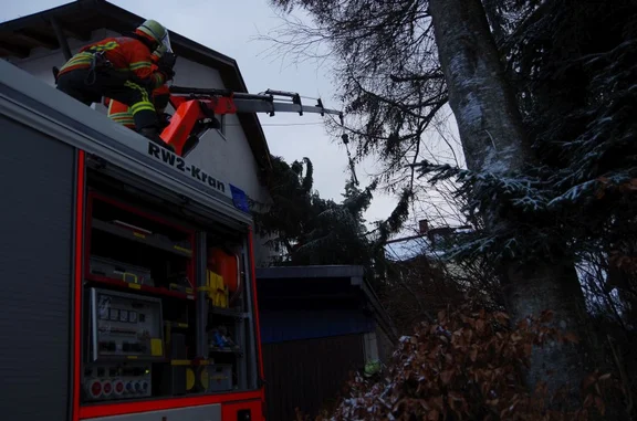 20180117_Baum_auf_Haus_01.jpg
